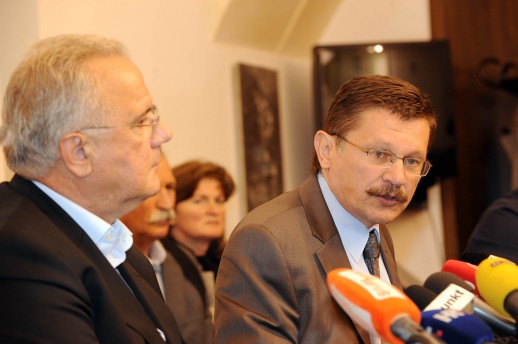 5987.mimica ribic