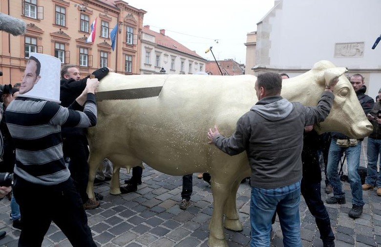 8029.piljenje zlatne krave